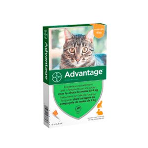 Advantage Gato 1 X 0.4 ml (0-4 Kg)