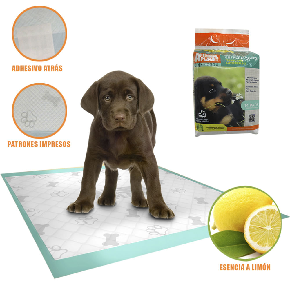 Animal Planet PAD de Entrenamiento x 30 Pzs Animal Planet PAD de Entrenamiento x 30 Pzs