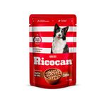 Ricocan-Adulto-Trocitos-Salsa-de-Carne-Pouch-100-Gr