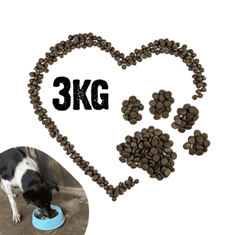 Dona-Perro-3-Kg