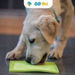 Lickimat-Soother-Green-Dog---Perro-Verde-2