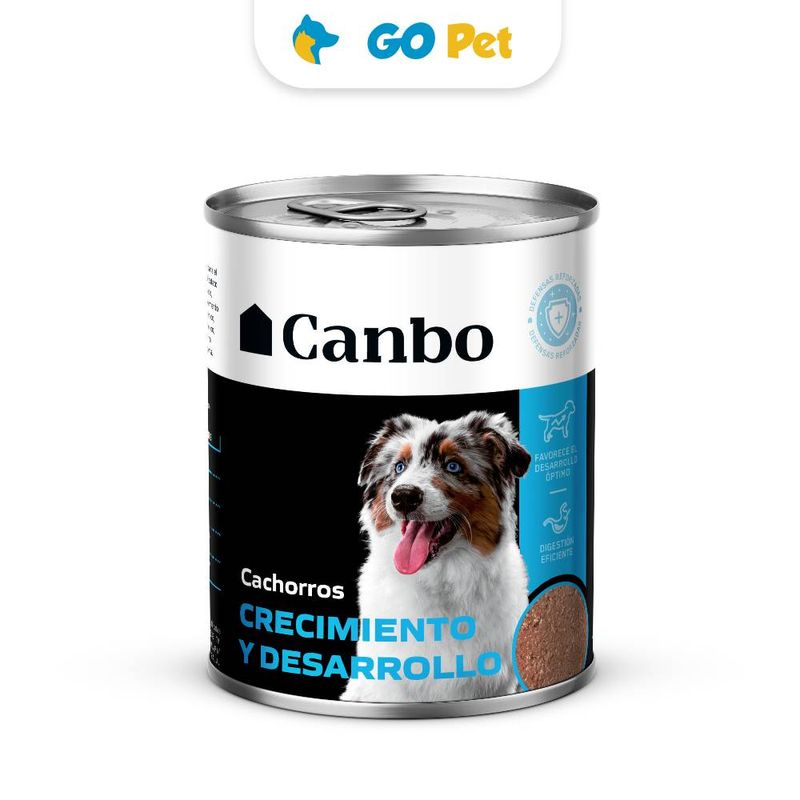 canbo-pate-cachorro-crecimiento-y-desarrollo