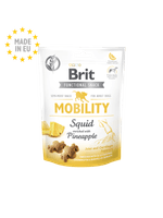 BRIT-CARE-MOBILITY