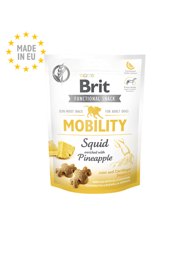 BRIT-CARE-MOBILITY