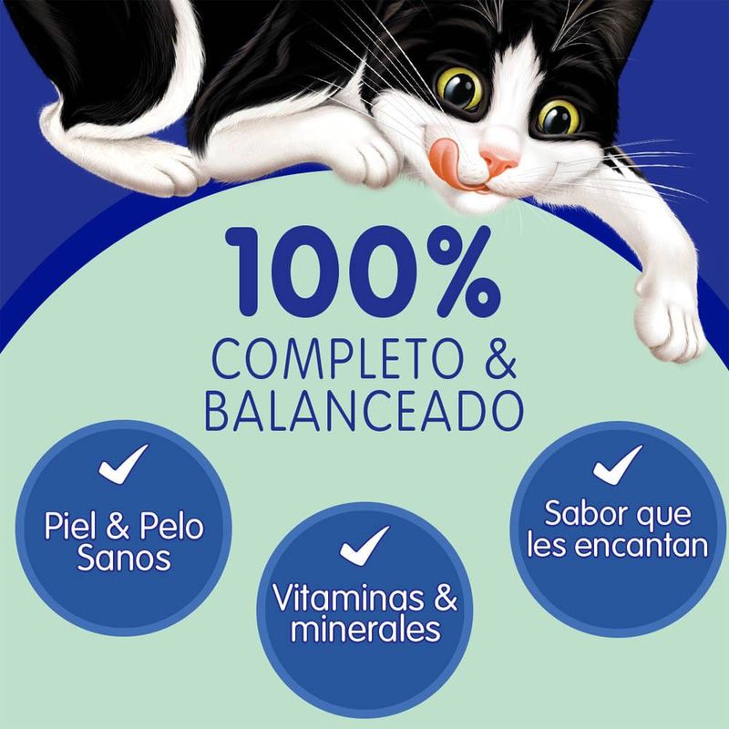 Felix-sensaciones-de-sardina-en-salsa-datos
