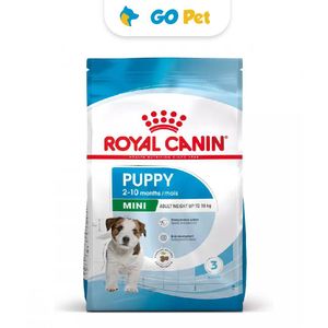 Royal Canin SHN Mini Puppy - Cachorro Raza Pequeña 4 Kg