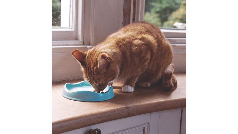 Beco clearance cat bowl