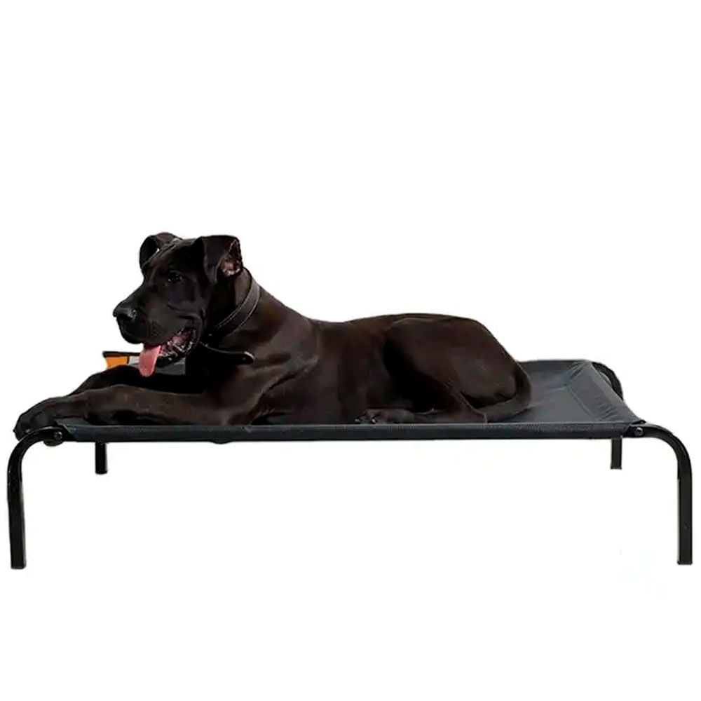 Cama elevada perro discount beneficios