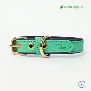 KI&KO Collar Para Perros Koko Aqua - Verde