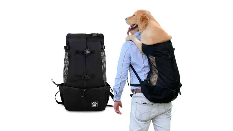 Mochilas para perros medianos sale