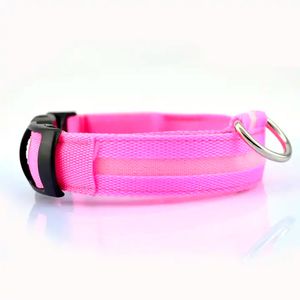 Que Patas Collar LED Para Mascotas