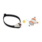 Collar-Laser---mouse-naranja-con-mov