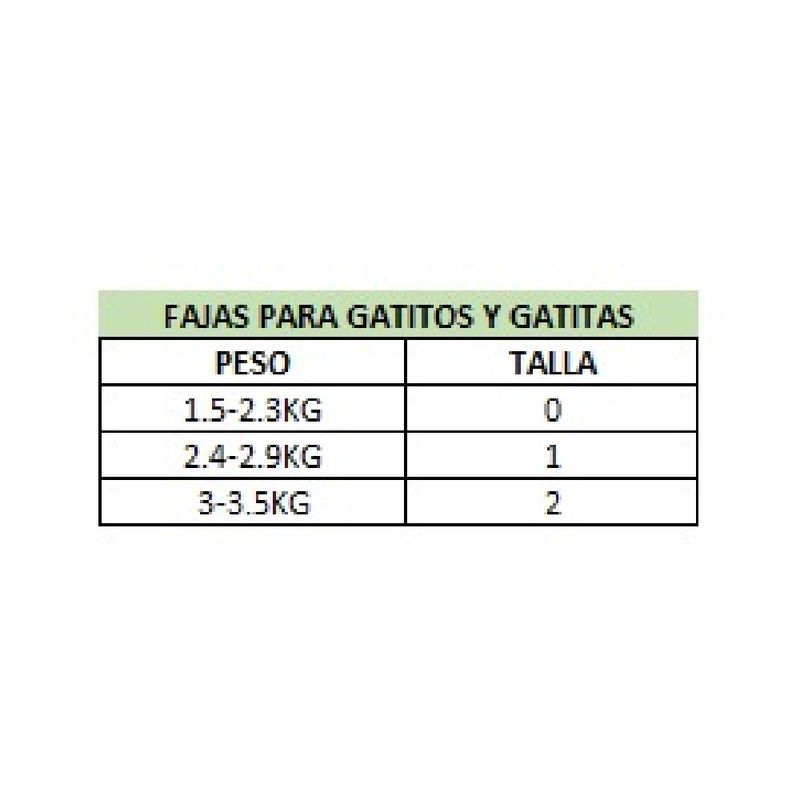 TALLAS-FAJAS-GATOS