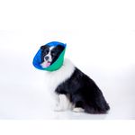 COLLAR-ISABELINO-VERDE-Y-AZUL