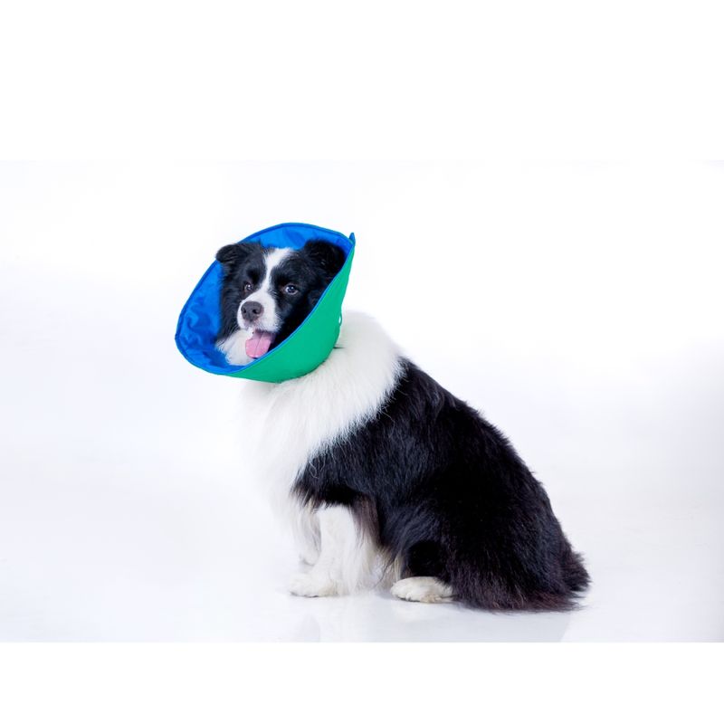 COLLAR-ISABELINO-VERDE-Y-AZUL