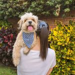 BANDANA-AZUL-2