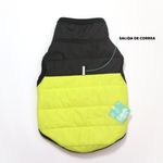 NEON-SALIDA--1-