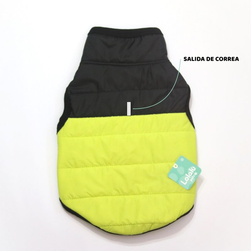 NEON-SALIDA--1-