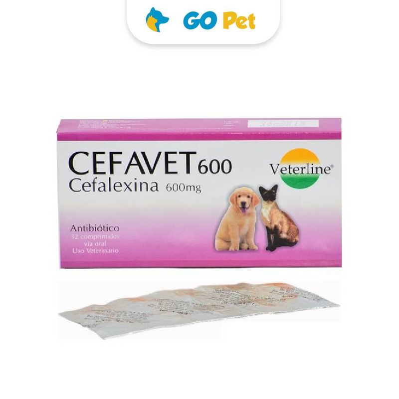 cefavet-600-mg