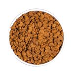 ownat-classic-gato-hairball-pellets