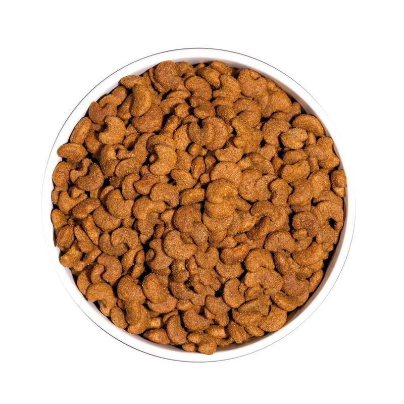 ownat-classic-gato-hairball-pellets