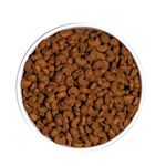 Ownat-classic-gato-esterilizado-pellets