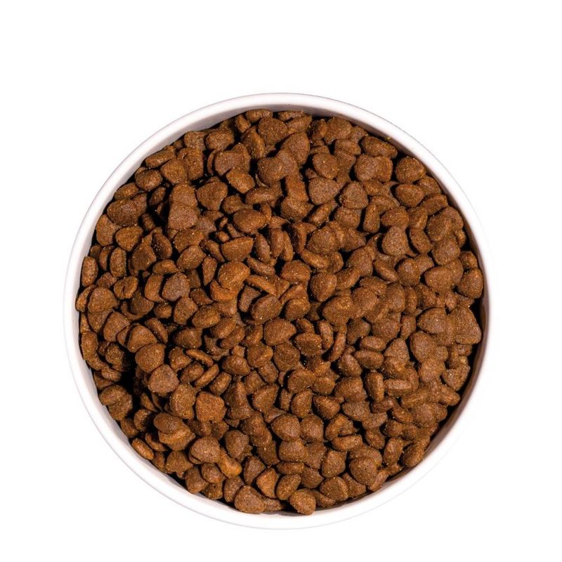 ownat-just-grain-free-gato-adulto-pellets