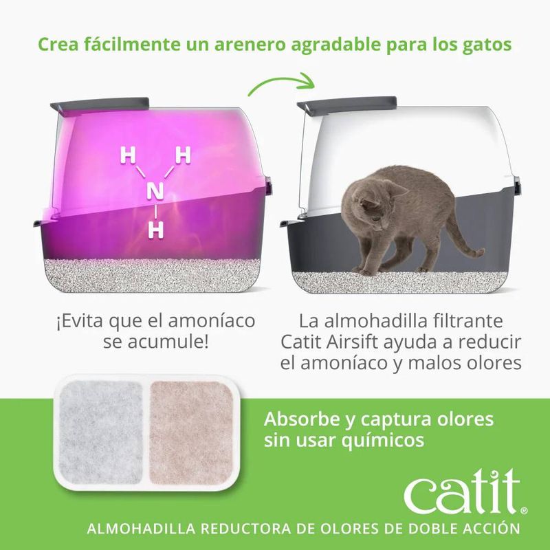 cat-it-caracteristicas