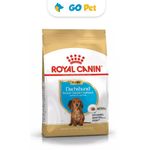 Royal-canin-perro-cachorro-salchicha