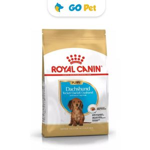 Royal Canin BHN Dachshund Puppy 1.5 Kg - Cachorro Teckel/Salchicha