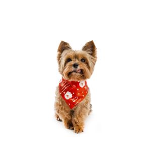 LMB Bandana Navideña Para Mascotas Rojo