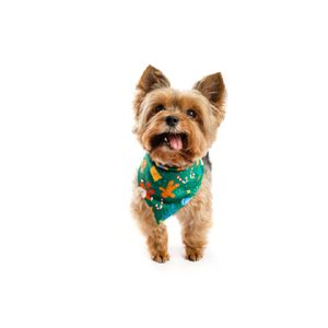 LMB Bandana Navideña Para Mascotas Verde