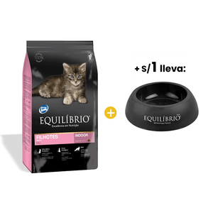 Equilibrio Kittens - Gatitos 1.5 Kg