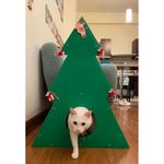 RASCADOR-ARBOL-4