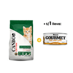 Canbo Kitten + 1sol Ricocat Gourmet.png