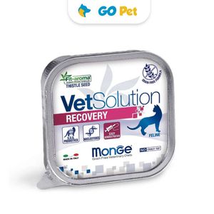 Monge Vet Solution Feline Recovery Alutray 100 Gr - Recuperación