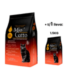 Mio gatto 7 +1.5.png