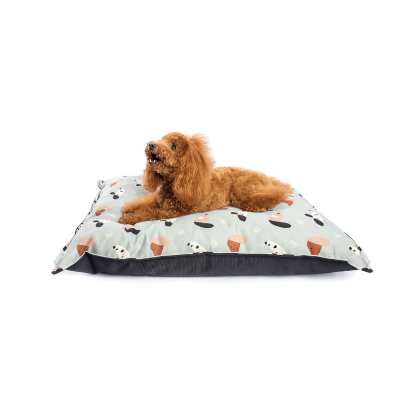 Cama Perritos 1.jpg
