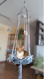 Hamaca-para-Gato-Modelo-Corona-Clasica-Beige-Gris-Oscuro.jpg