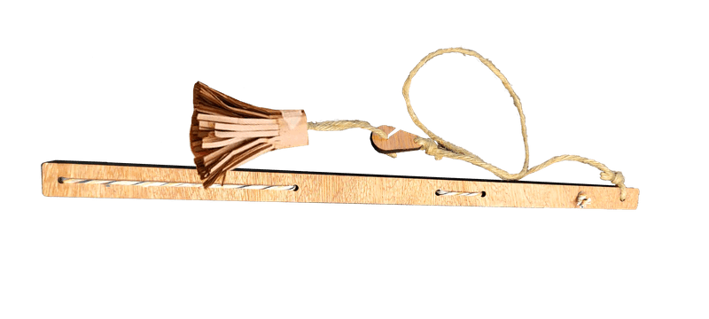 Varita-gato -1-.png