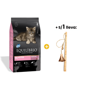 Equilibrio Kittens - Gatitos 1.5 Kg