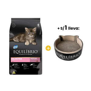 Equilibrio Kittens - Gatitos 7.5 Kg
