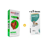 Bravecto Antipulgas para Perro Masticable 10 - 20 Kg + 1sol Endal Plus Antiparasitario - Caja X 4