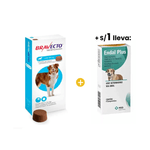 Bravecto Antipulgas para Perro Masticable 20 - 40 Kg + 1sol Endal Plus Antiparasitario - Caja X 4