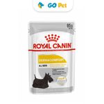 royal-ccn-dermacomfort-pouch-go-pet