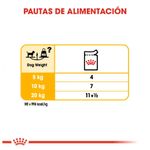 royal-canin-dermcomfort-guia