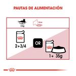 guia-de-alimentacion-instictive-gato-pouch