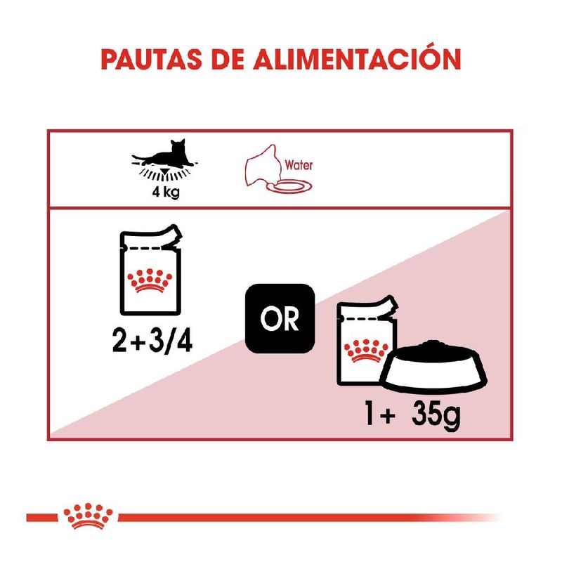 guia-de-alimentacion-instictive-gato-pouch