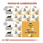 guia-royal-canin-persian