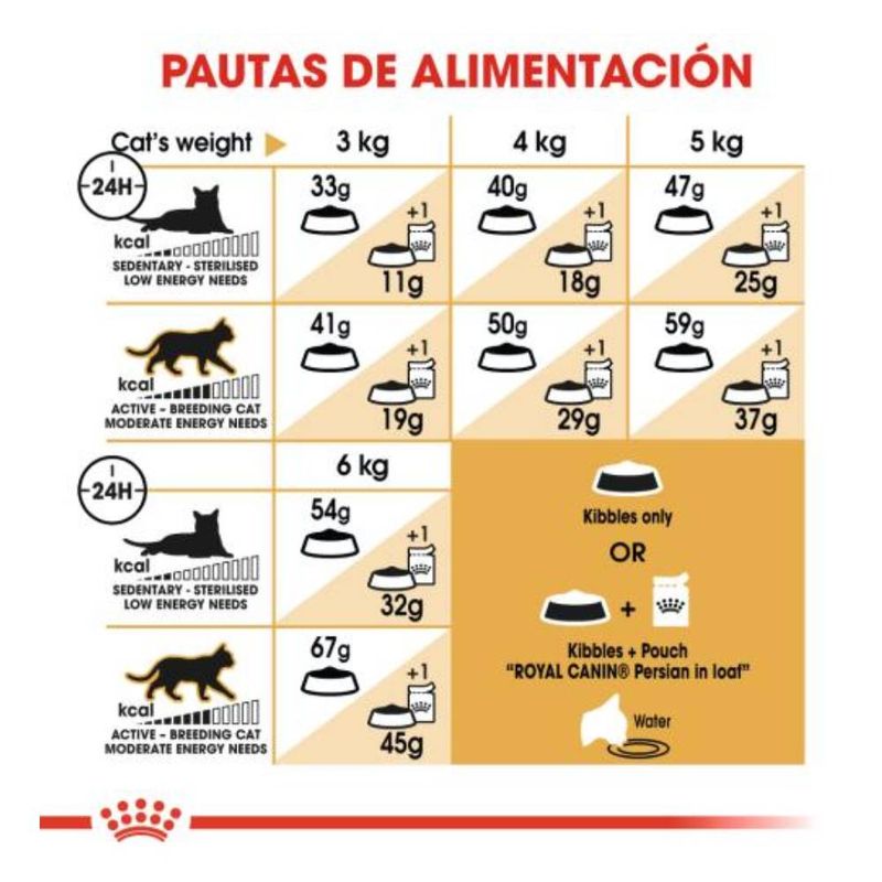 guia-royal-canin-persian